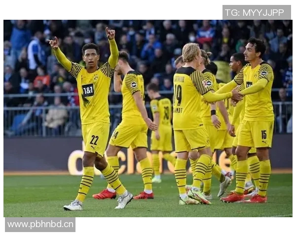 目前德甲到底有哪些球队 正在比赛的有哪些